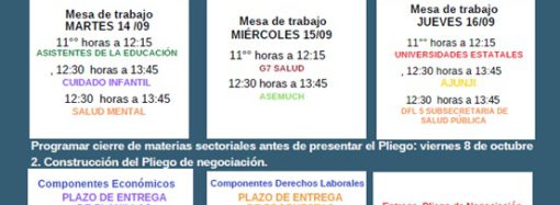 Cronograma Mesa Sector Publico 2021