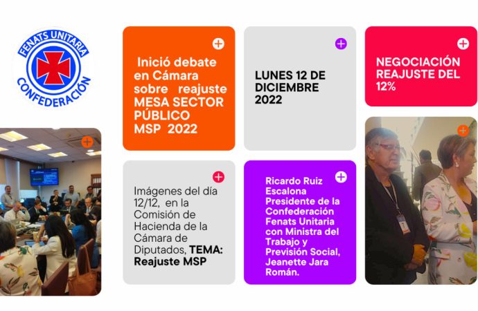 Proyecto de Reajuste Sector Publico 2022