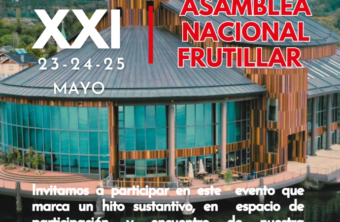 Asamblea nacional Frutillar