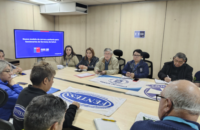 Participa de la creación de un proyecto de Carrera Funcionaria