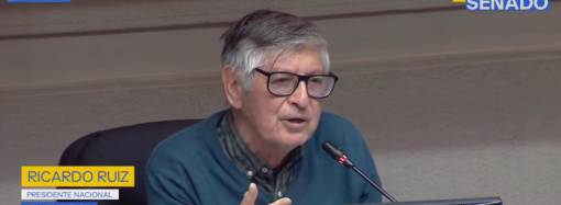 FENATS Unitaria exige una “Tercera Reforma de Salud” ante el Senado: Revisa acá el llamado gremial en video
