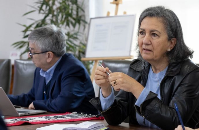 La Ministra de Salud ante un presupuesto de Salud que se desborda